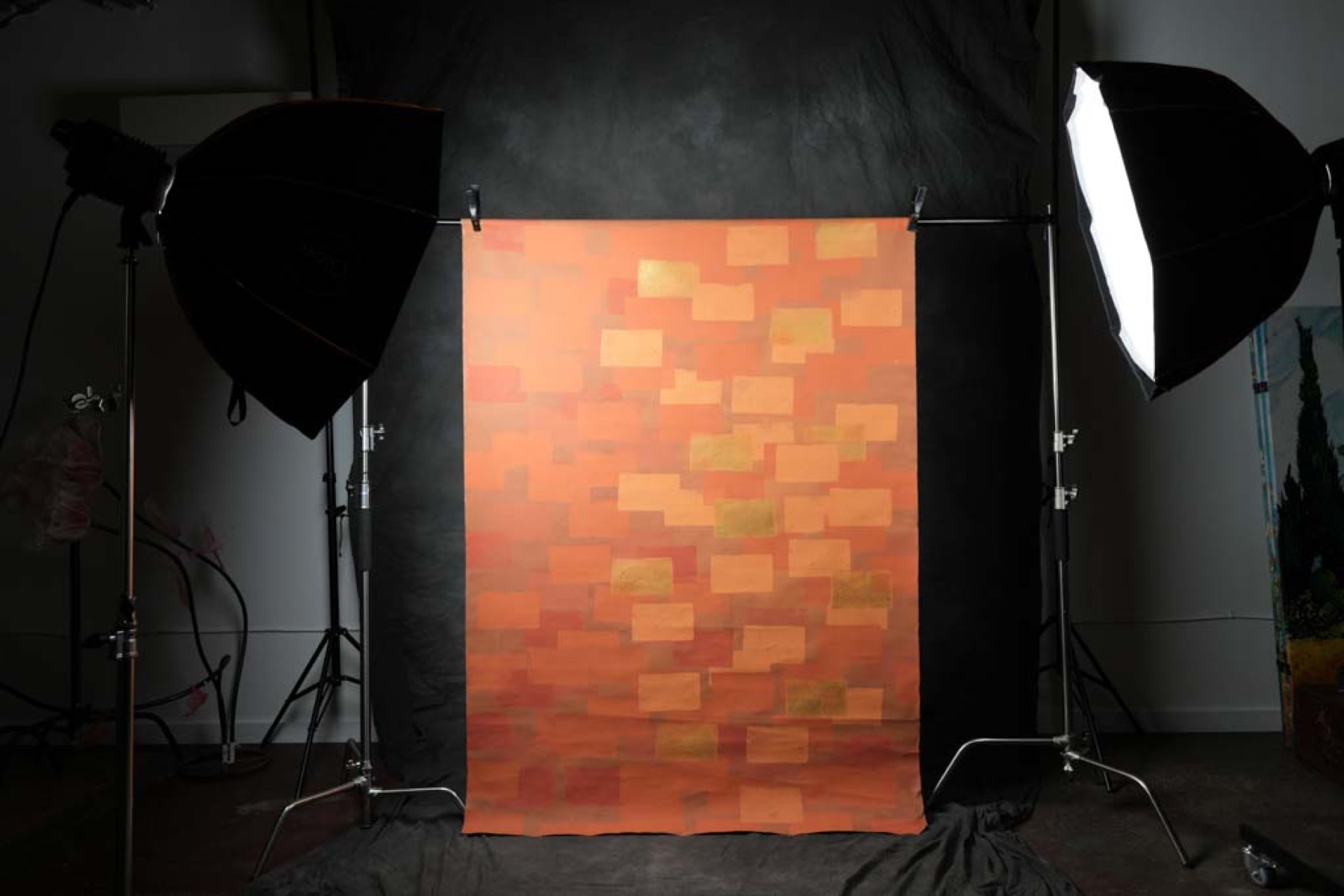 Orange backdrop with softbox lighting